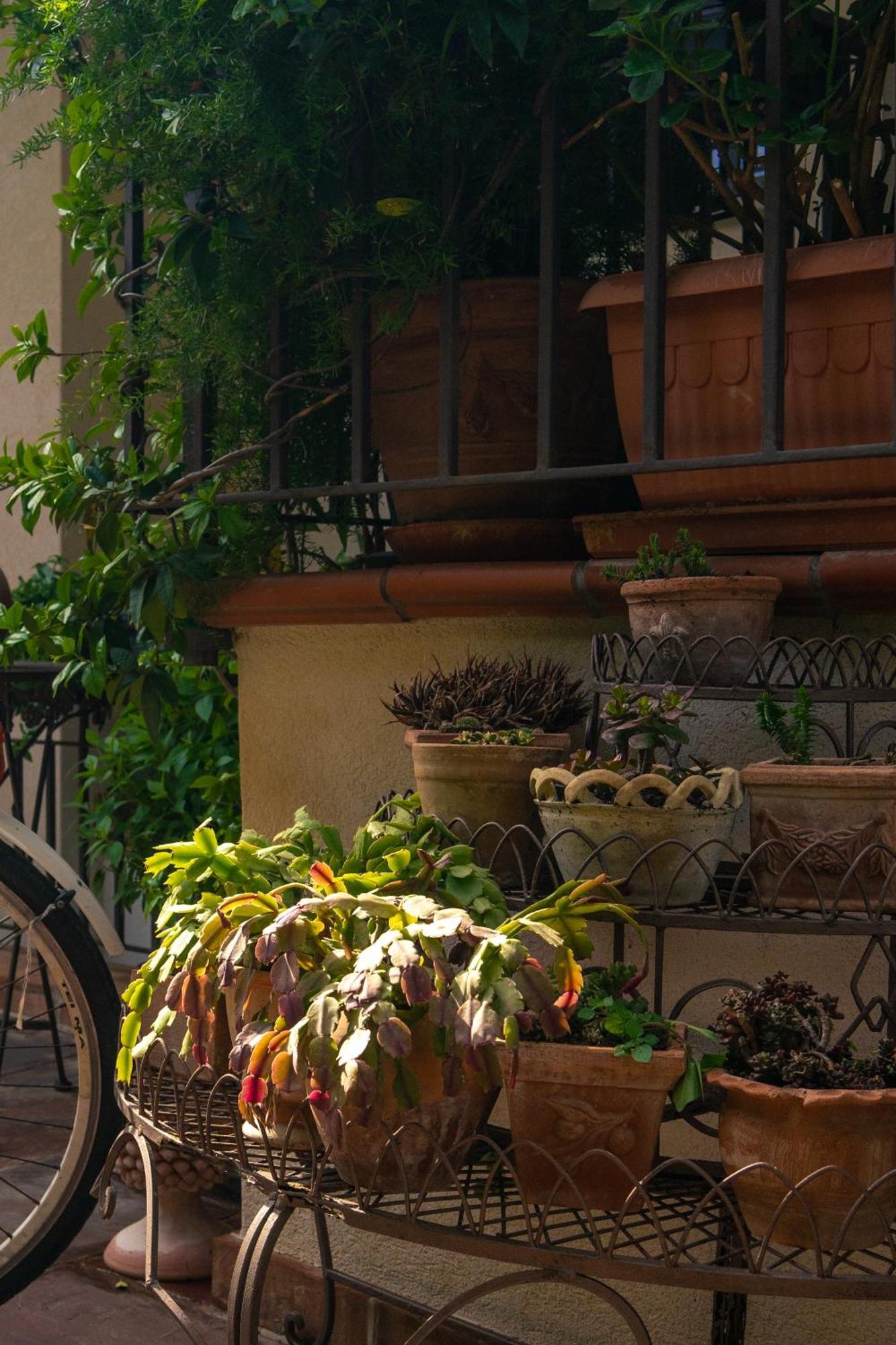 Guest House Antichi Ulivi มอนเดลโล ภายนอก รูปภาพ